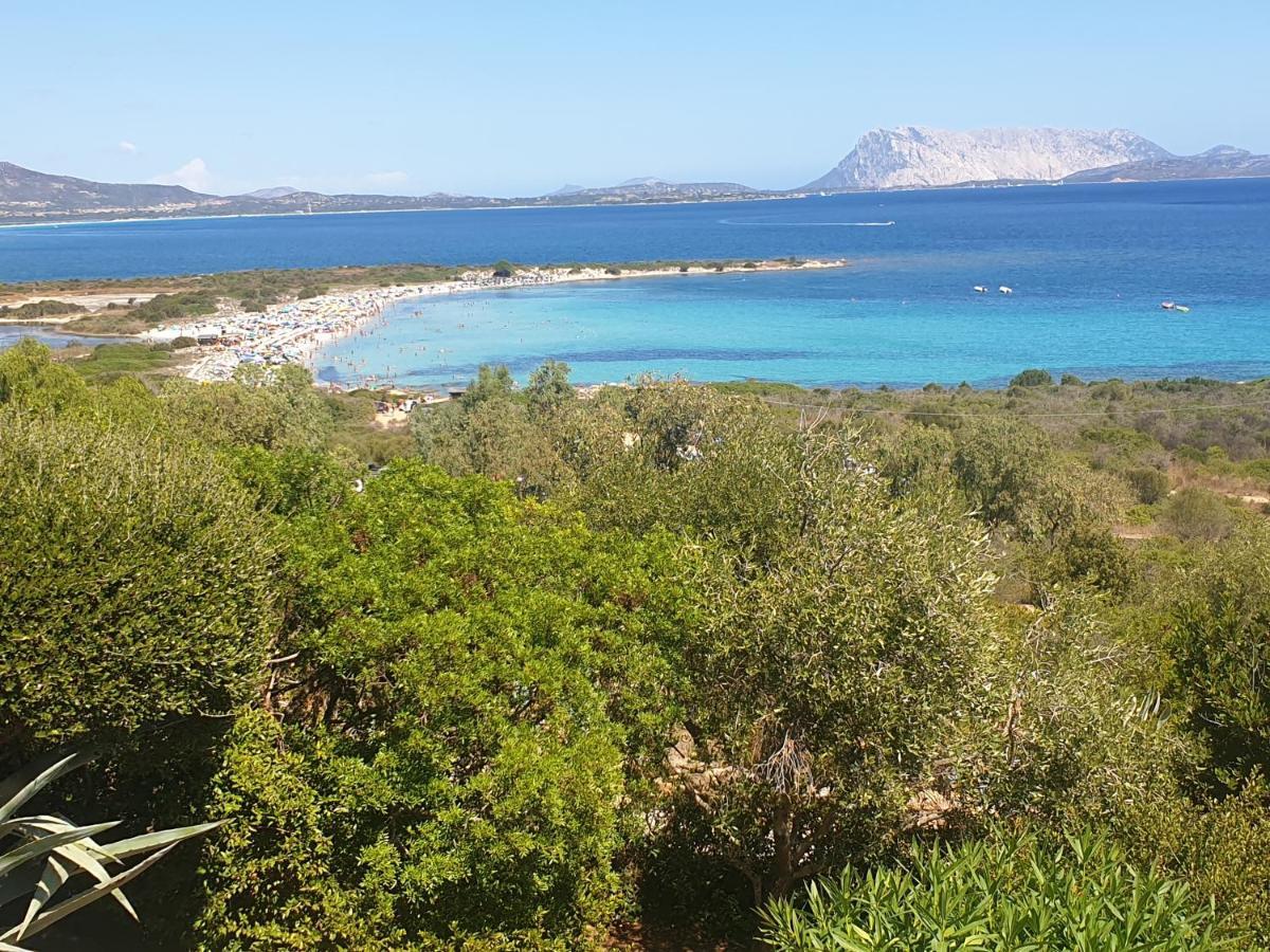 סאן תאודורו Ferienhaus Panorama, San Teodoro, Isuledda מראה חיצוני תמונה
